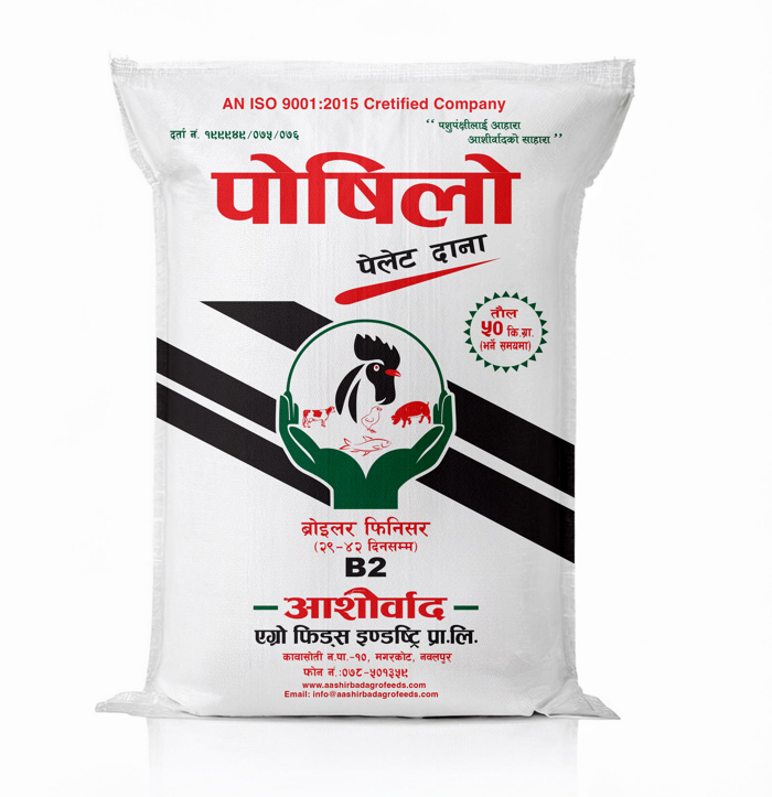 The Gold Standard in Chicken Feed: Posilo by Aashirbad Agro Feeds Industry